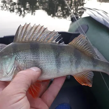 Gosciniec Pod Wegorzem Farmház Ołownik