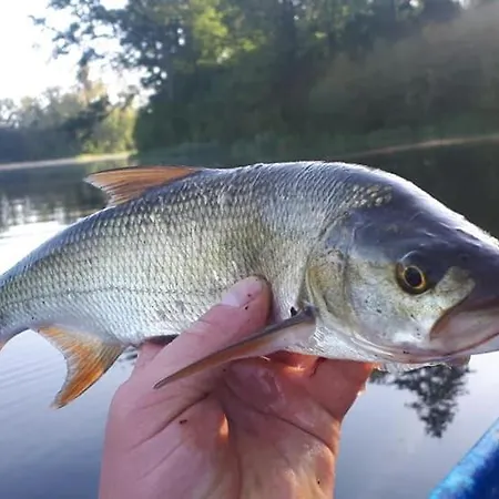 Farmház Gosciniec Pod Wegorzem *