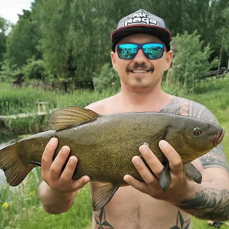 Gosciniec Pod Wegorzem Ołownik